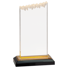 Gold 5" x 8" Frosted Impress Acrylic