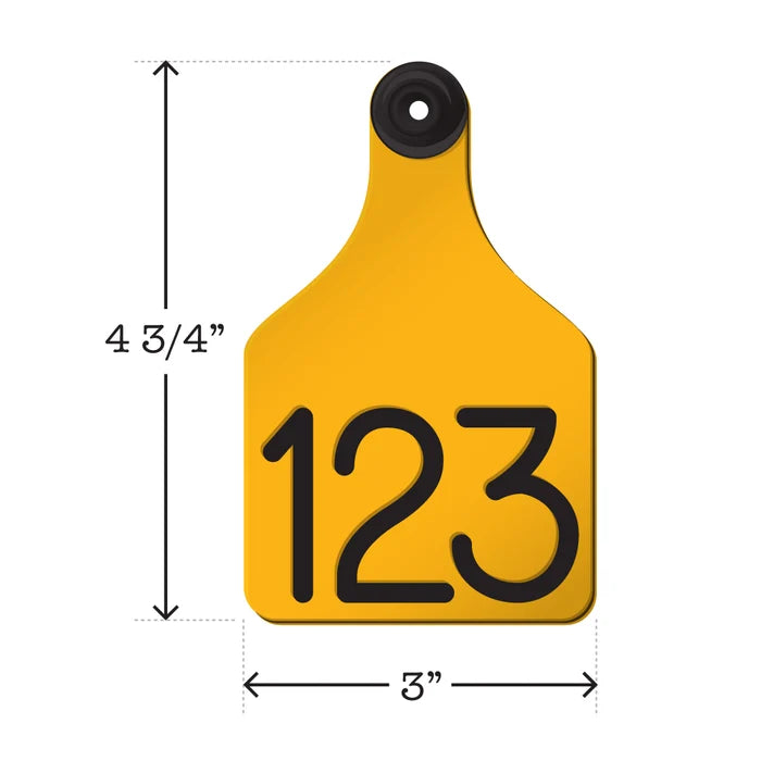 Custom Laser Engraved Ritchie Universal Large Yellow/Black Ear Tag