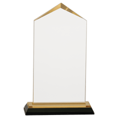 Gold 3 1/2" x 7 1/2" Jewel Impress Acrylic
