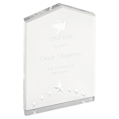 Silver 7" Star Point Acrylic