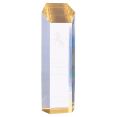 Gold 3" x 10" Tower Acrylic